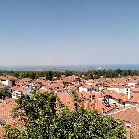 Olympus Mediterranean Boutique 4* Litochoro